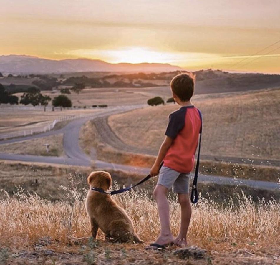 Windwood Ranch Paso Robles Villa Bagian luar foto